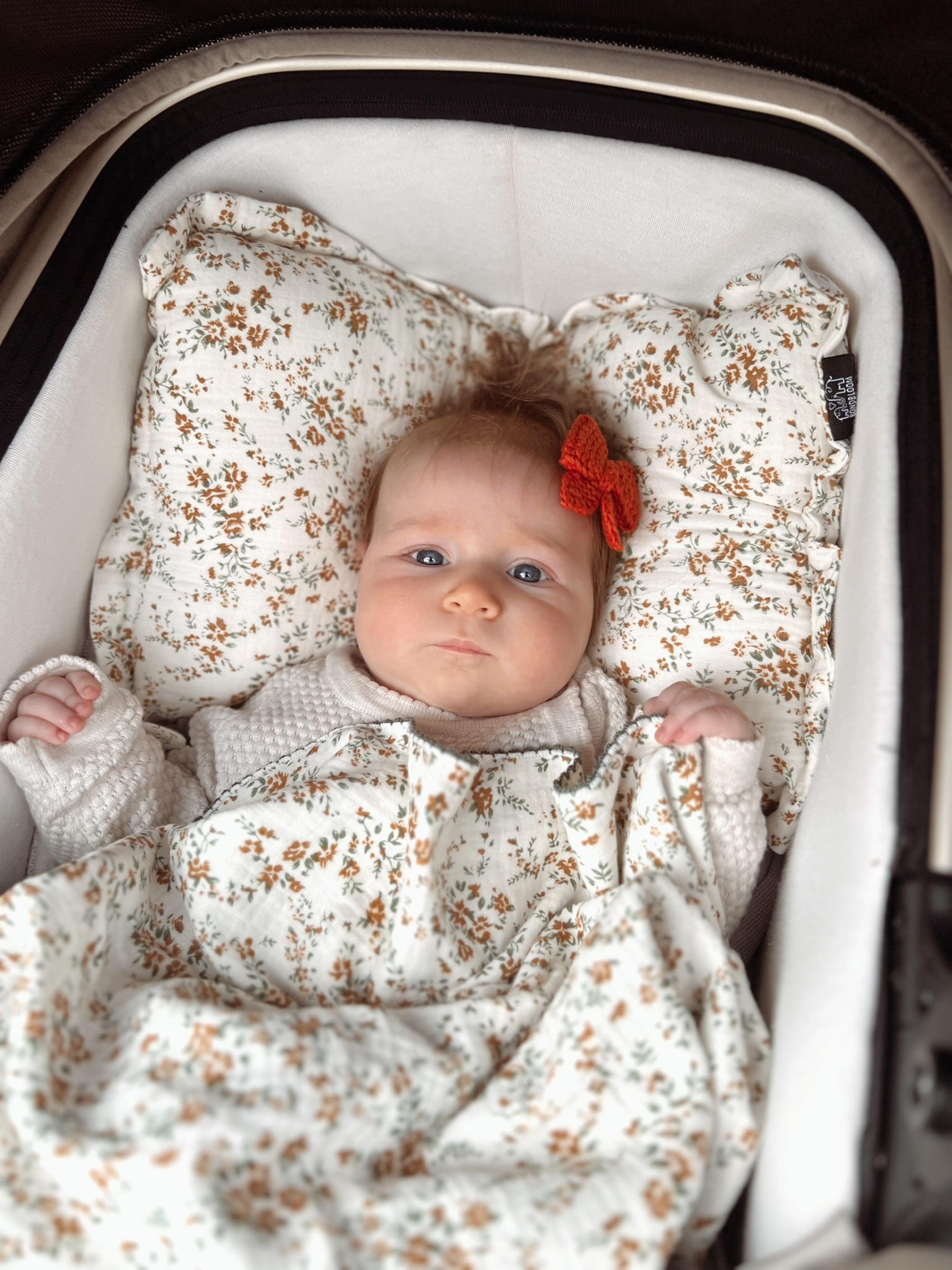 Chipping Norton Floral Pillow