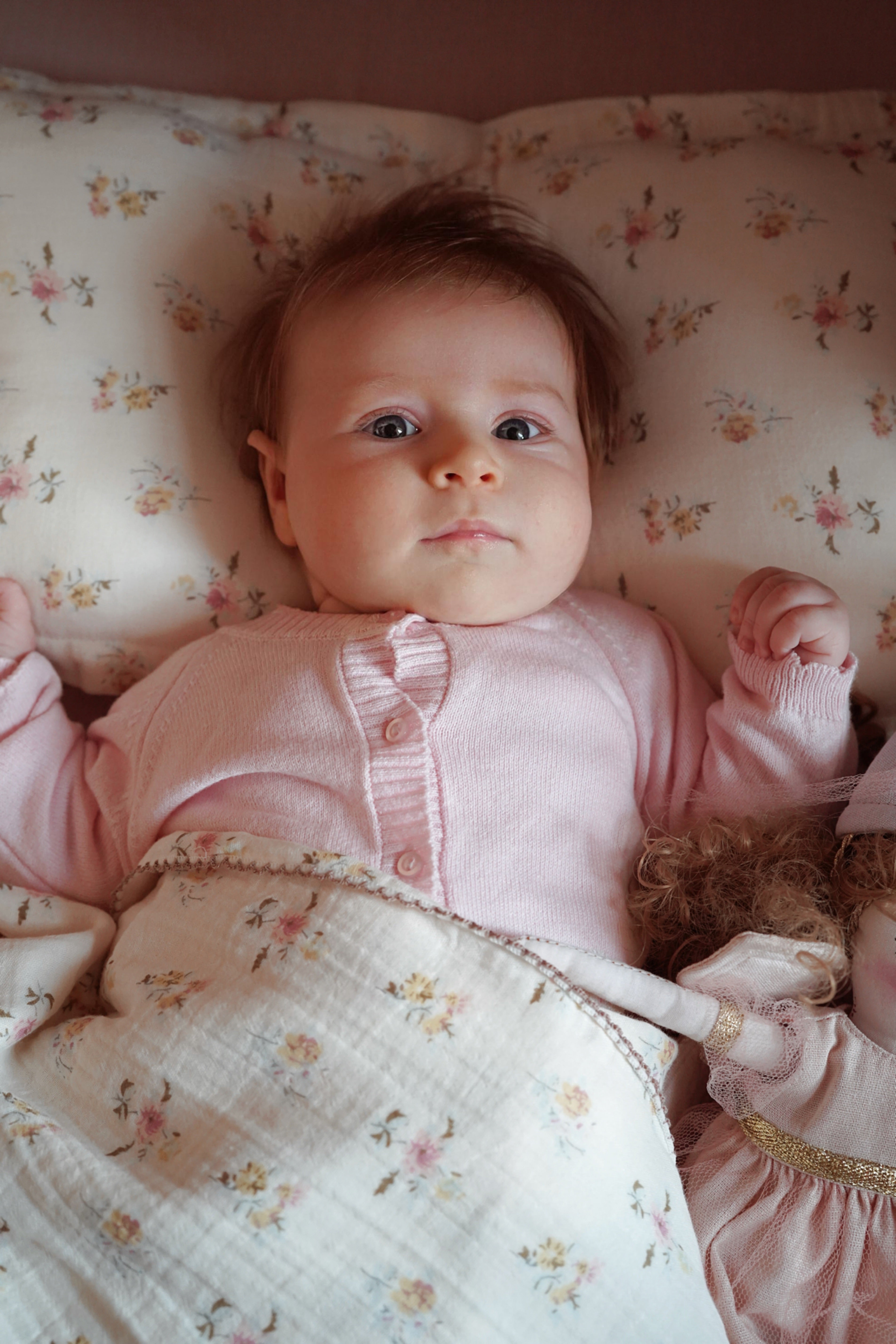 Fairford Meadow Pillow