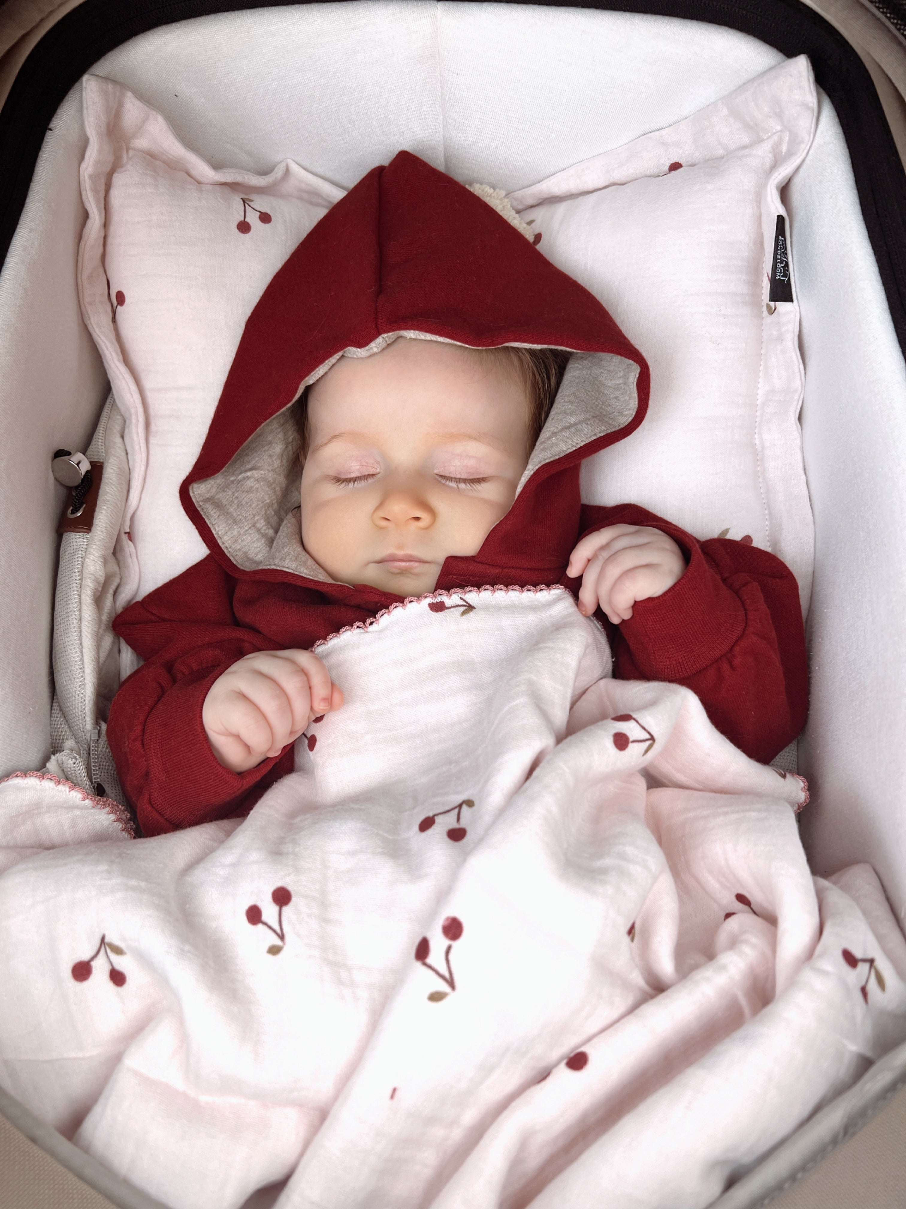 Ashton Cherry Delight Pillow